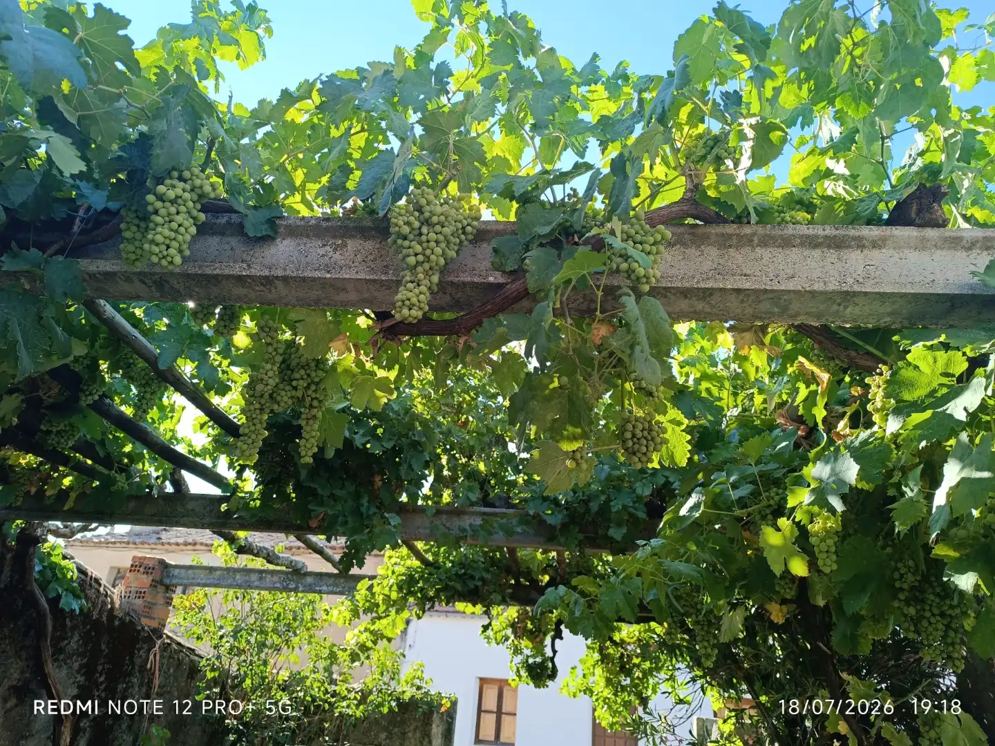 Planta baja en  Calle las Eras 24 - Foto 4