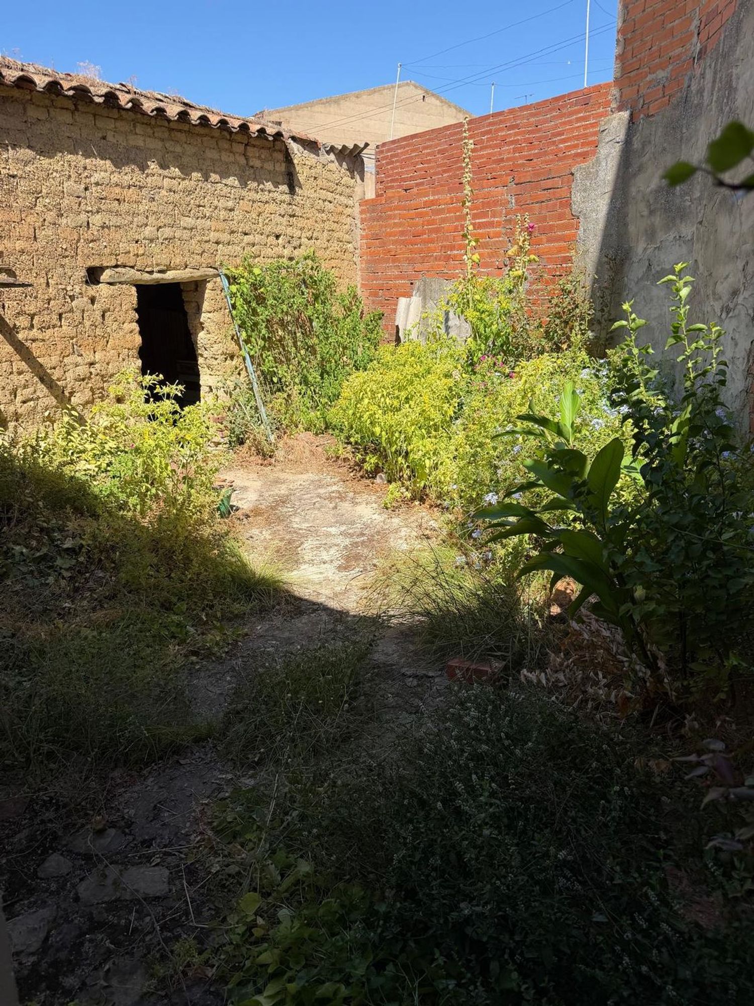 Casa de pueblo en Calle Murillo, 20 - Foto 25