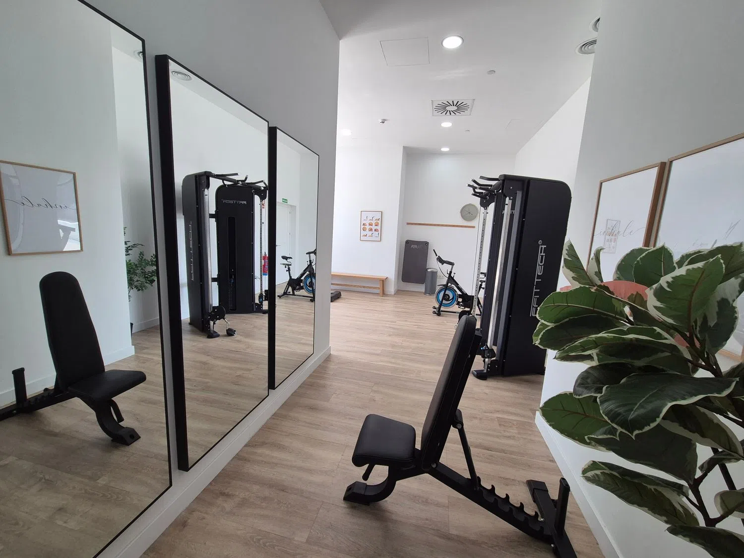 Estudio en paseo Martiricos, 40 - Foto 17