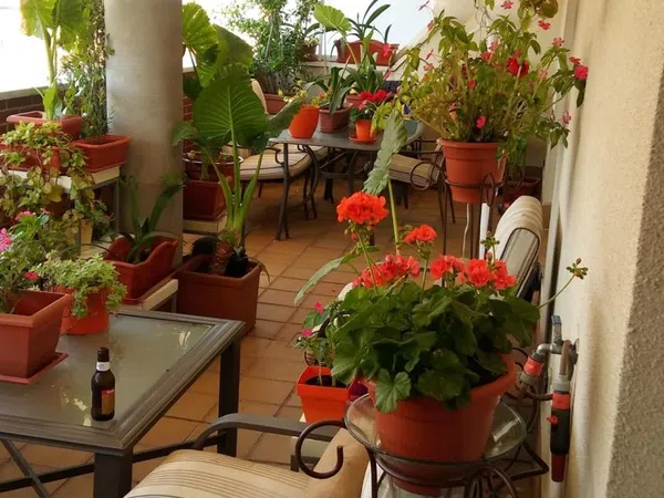 Ático en avenida del Doctor García Tapia, 226 - Foto 1