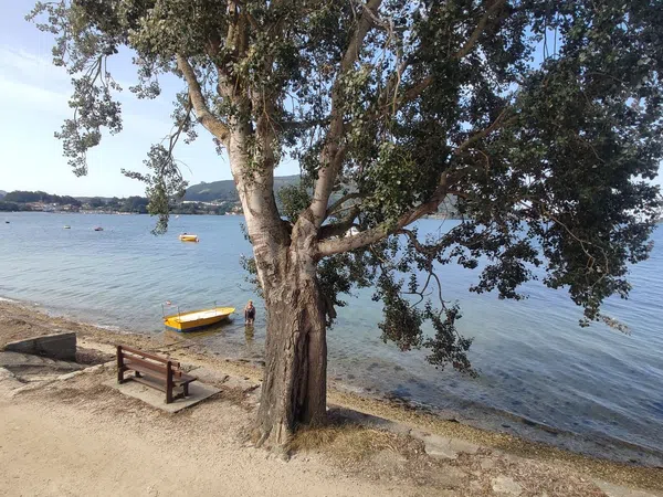 Casa independiente en paseo da Praia, 83 - Foto 16