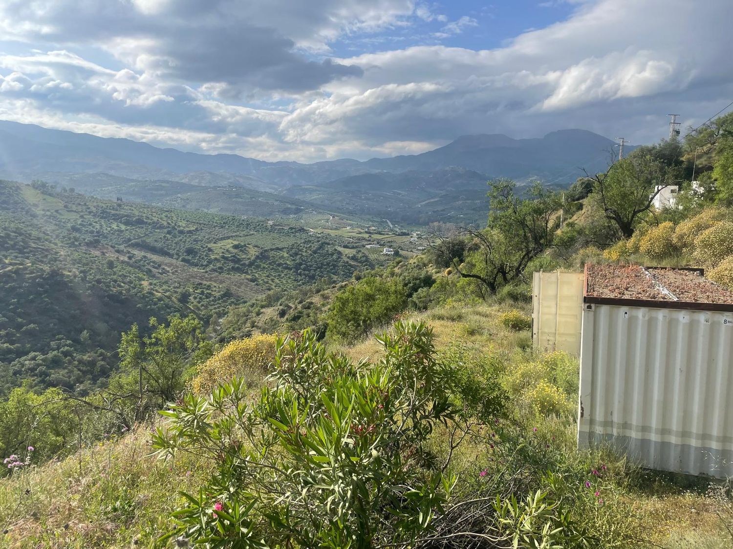 Finca rústica en Camino de Alozaina, 10 - Foto 4