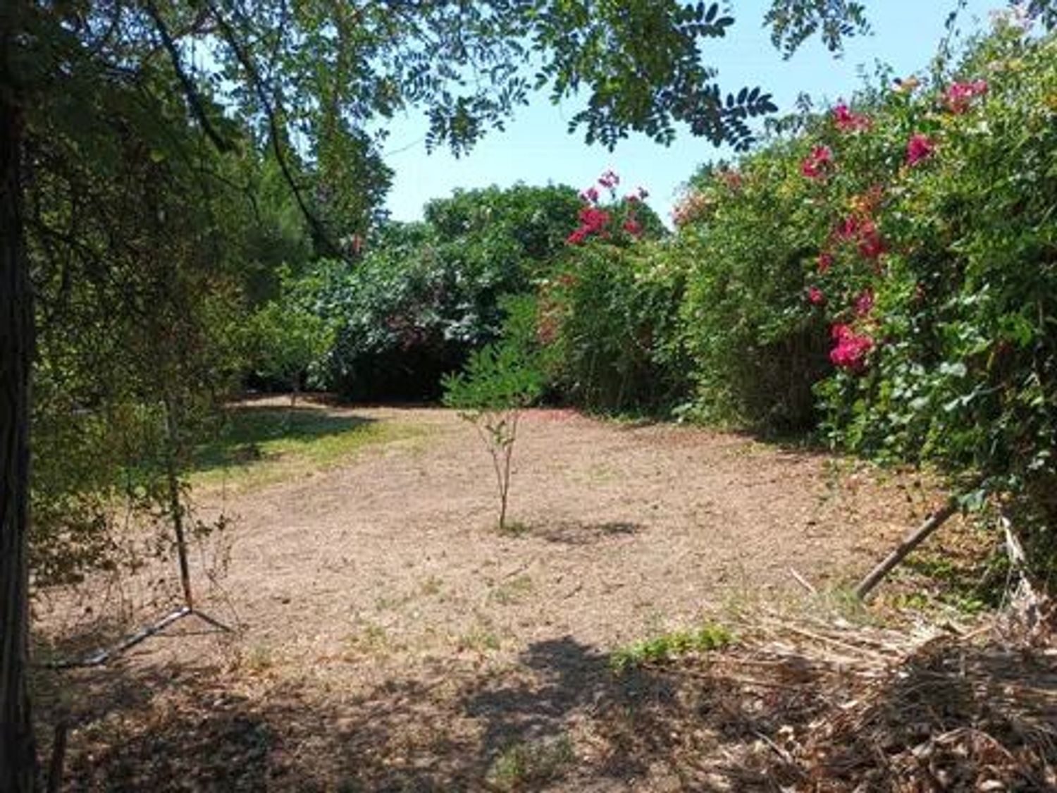 Casa o chalet independiente en Calle Lima, 28, Reina Mercedes - Heliópolis - Foto 38