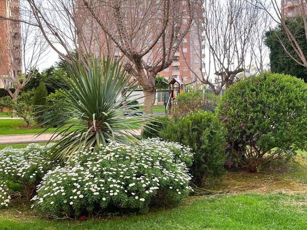 Piso en Calle d'Enric Valor, 1 a - Foto 2