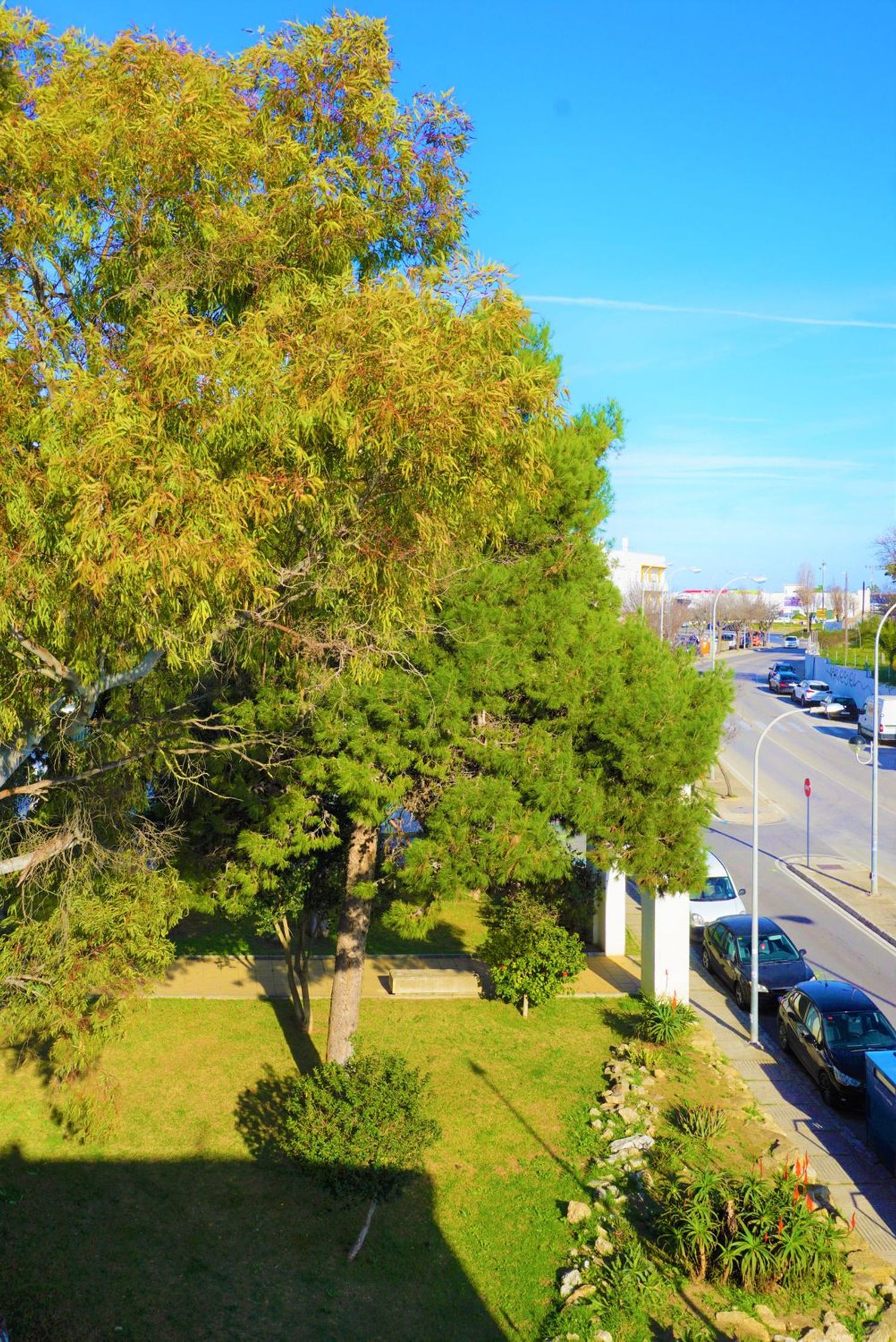 Estudio en calle Torre del Oro, 4 - Foto 21