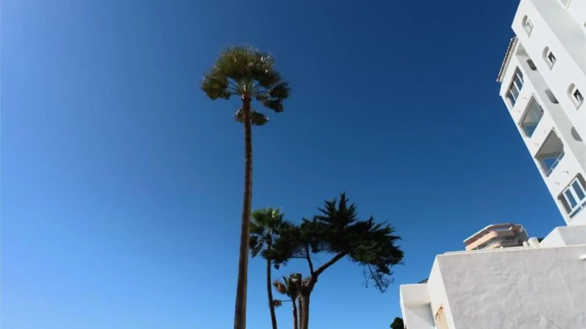 Piso en  Urbanización El Juncal Sur 35 - Foto 32