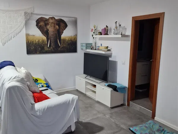 Estudio en Calle pins, 37 - Foto 6