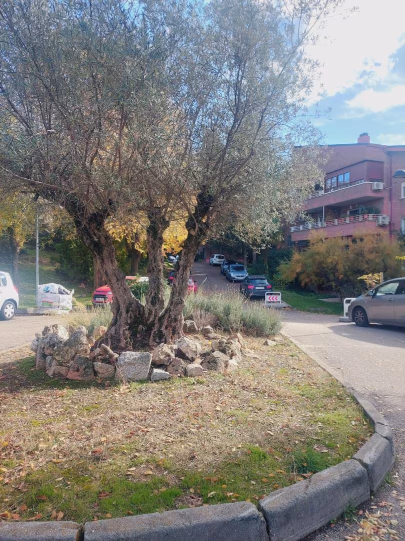 Piso en  Travesía de Somosierra 3 - Foto 5