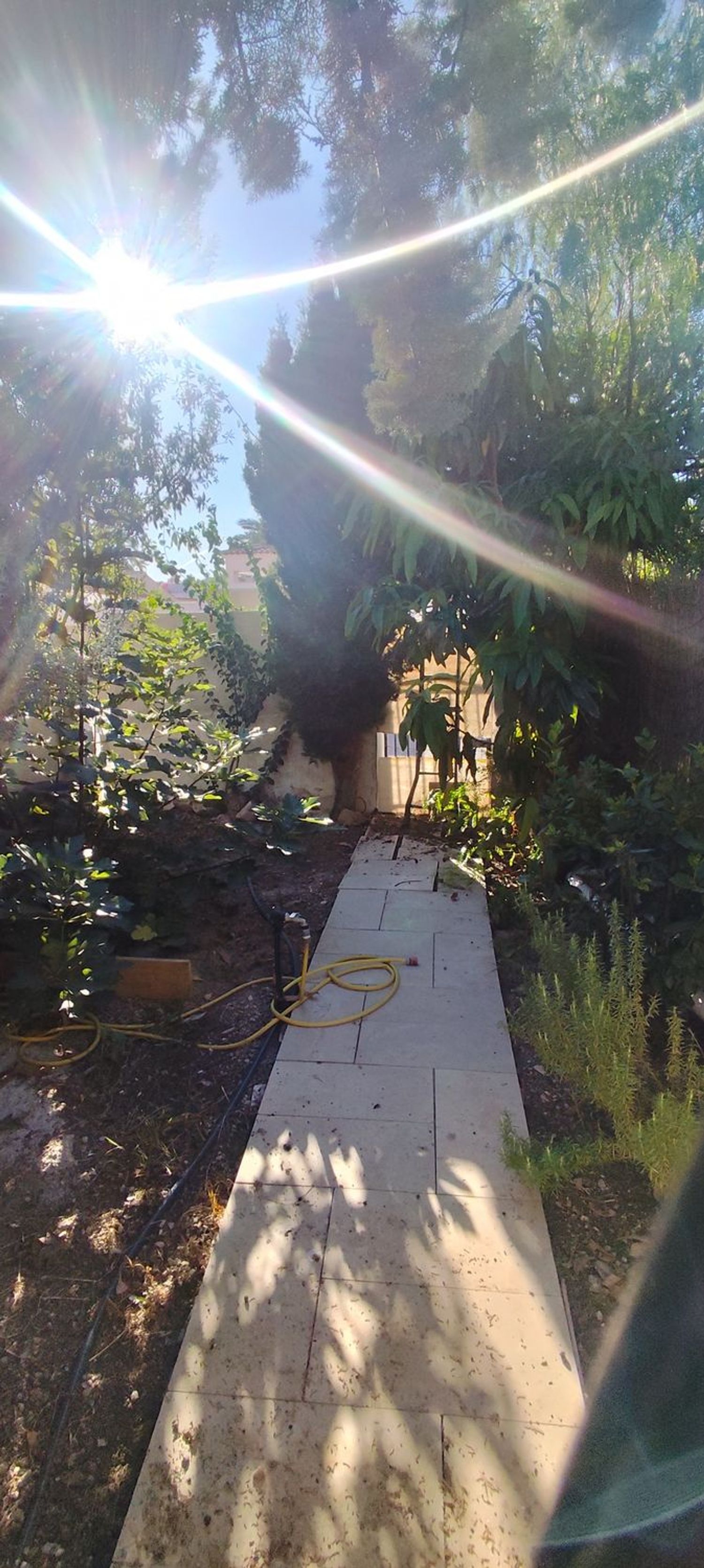 Chalet adosado en Plaza las Golondrinas, 3, Nueva Torrevieja - Foto 6