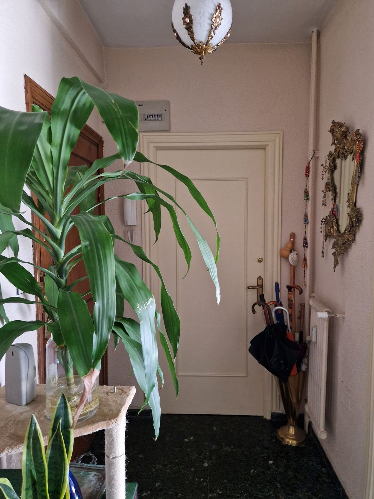 Piso en Calle del Corazón de María, 33, Prosperidad - Foto 15