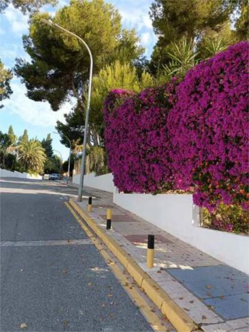 Apartamento en Carihuela - Foto 7