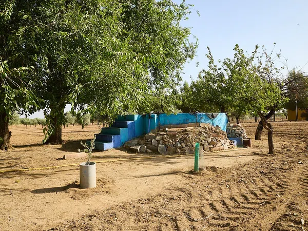 Finca rústica en Camino de la Mata s/n - Foto 3