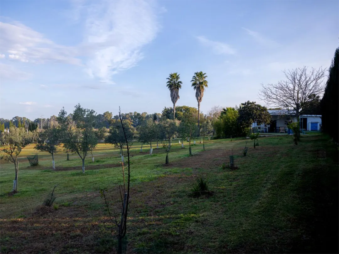 Finca rústica en  Calle Almenara 1 - Foto 29