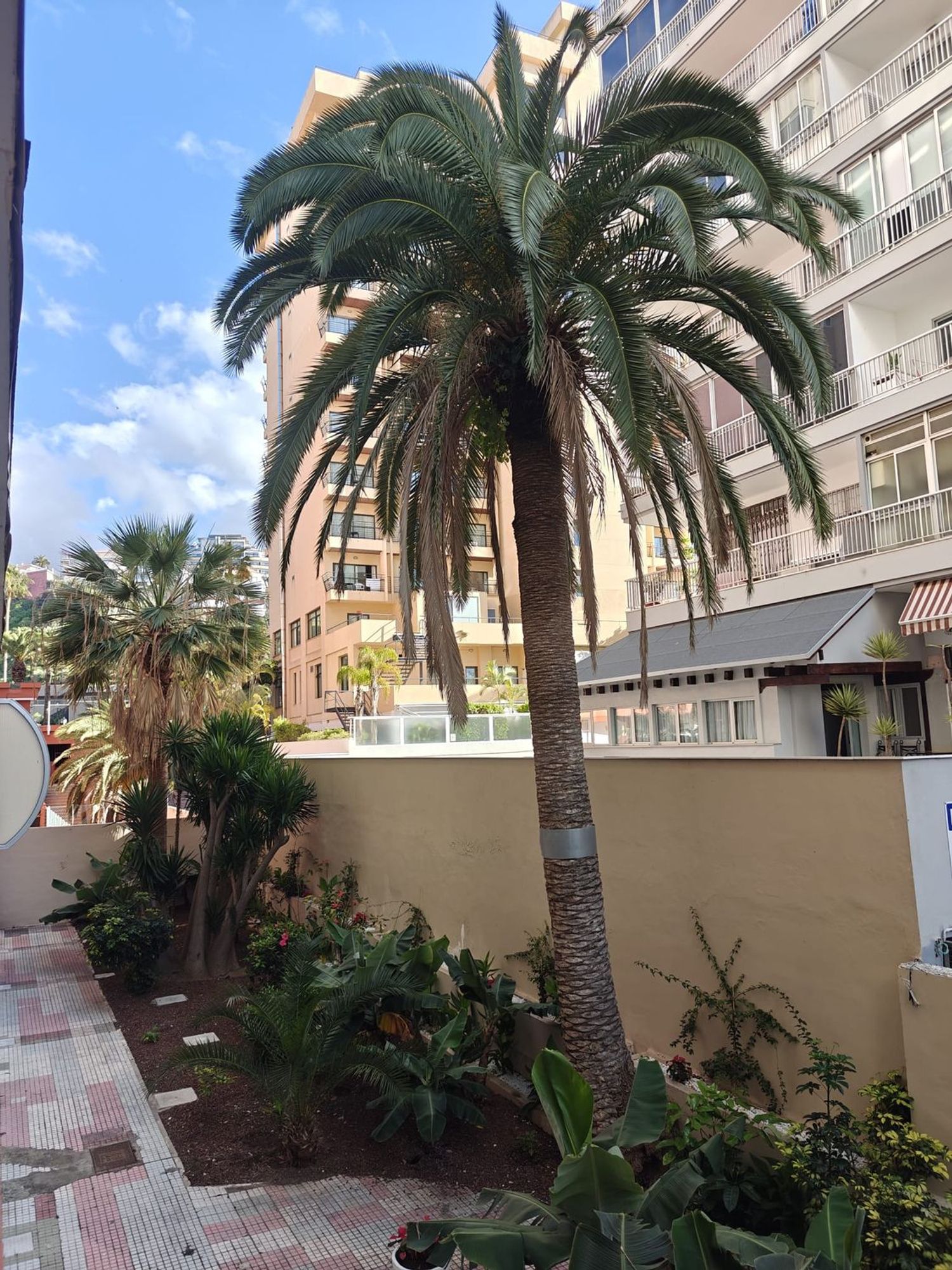 Estudio en Familia Betancourt y molina, 26 - Foto 13