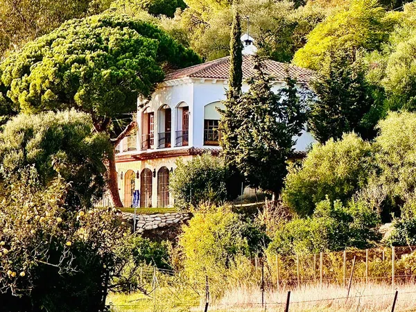 Casa o chalet independiente en Camino de la Angostura s/n - Foto 1