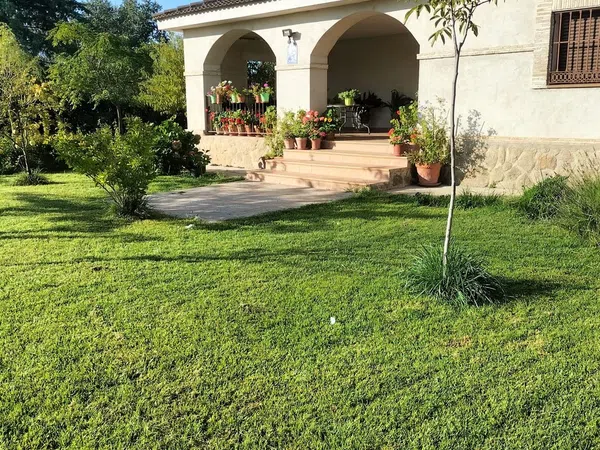 Casa o chalet independiente en Ronda de las Encinas, 115 - Foto 4