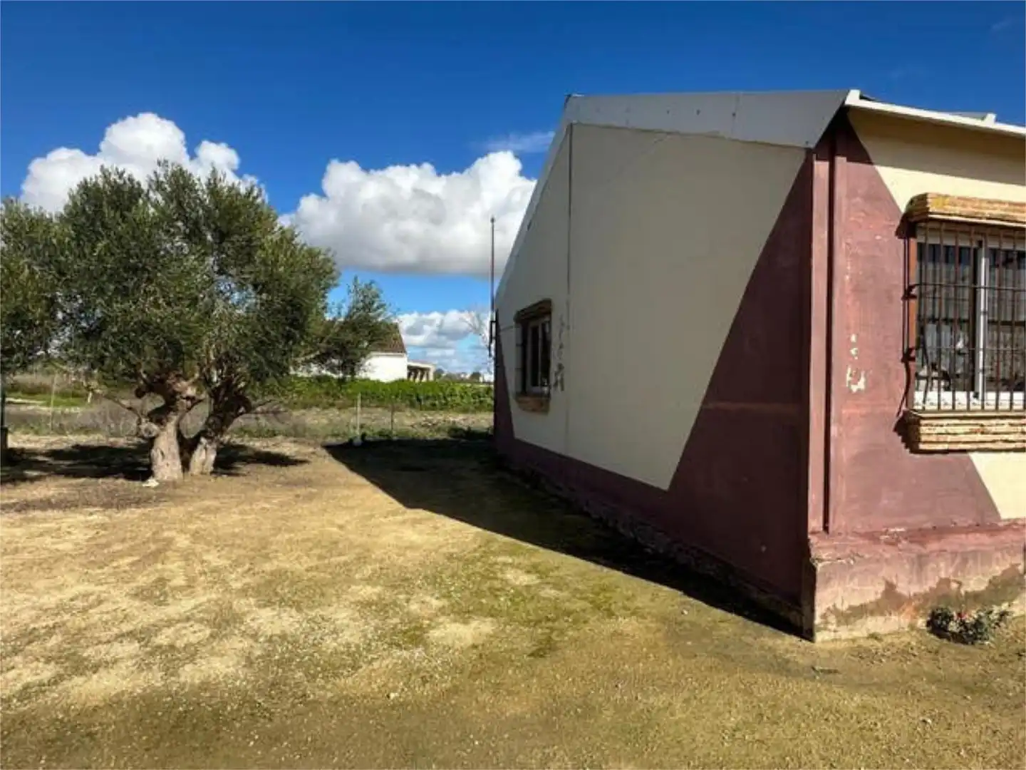 Casa adosada en SE VENDE FINCA OCASION!! - Foto 2