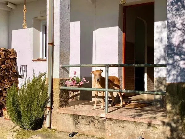 Casa o chalet independiente en Calle del Nort, 24 - Foto 12