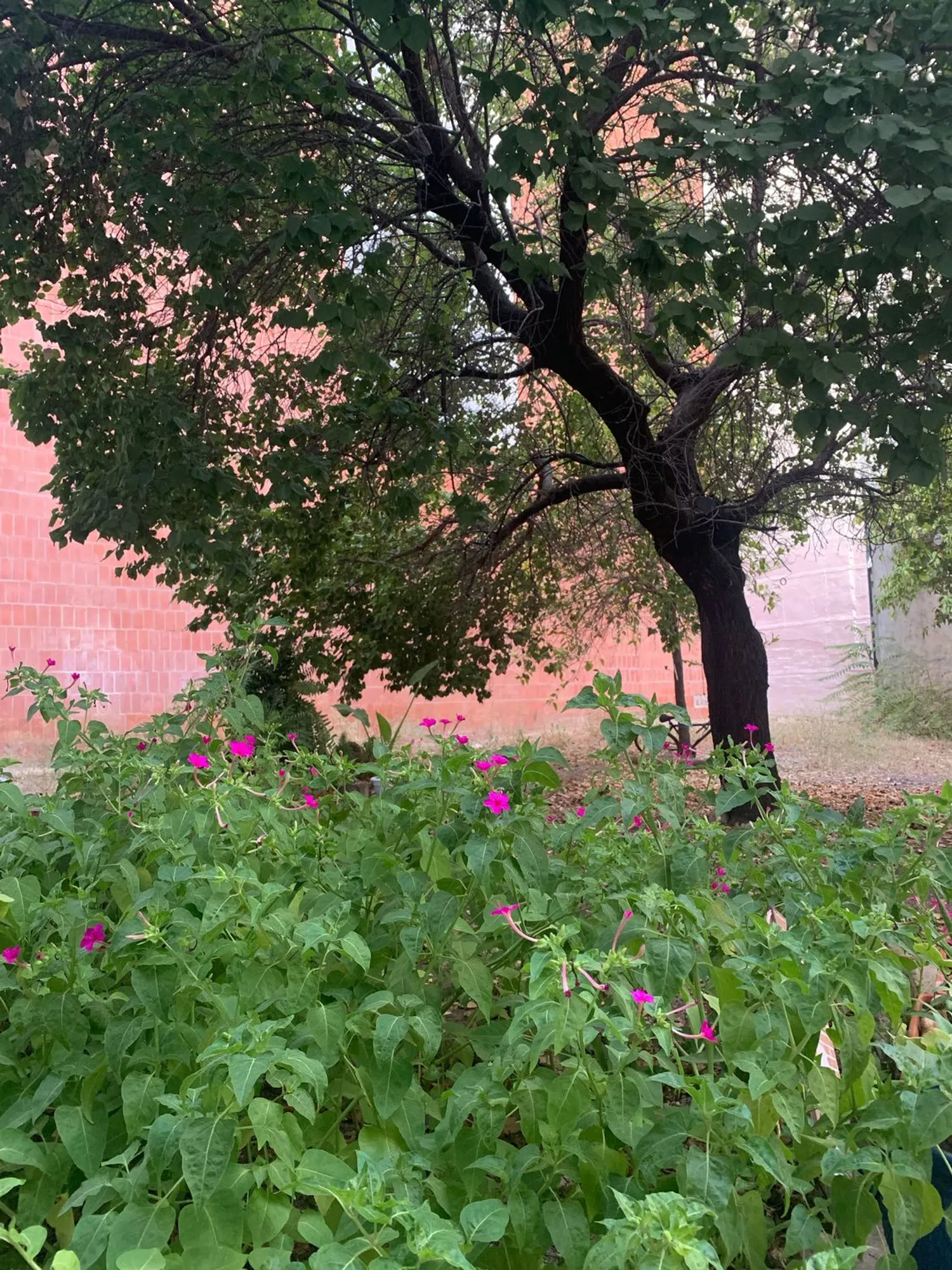 Piso en calle San Diego de Alcalá, 7 - Foto 27