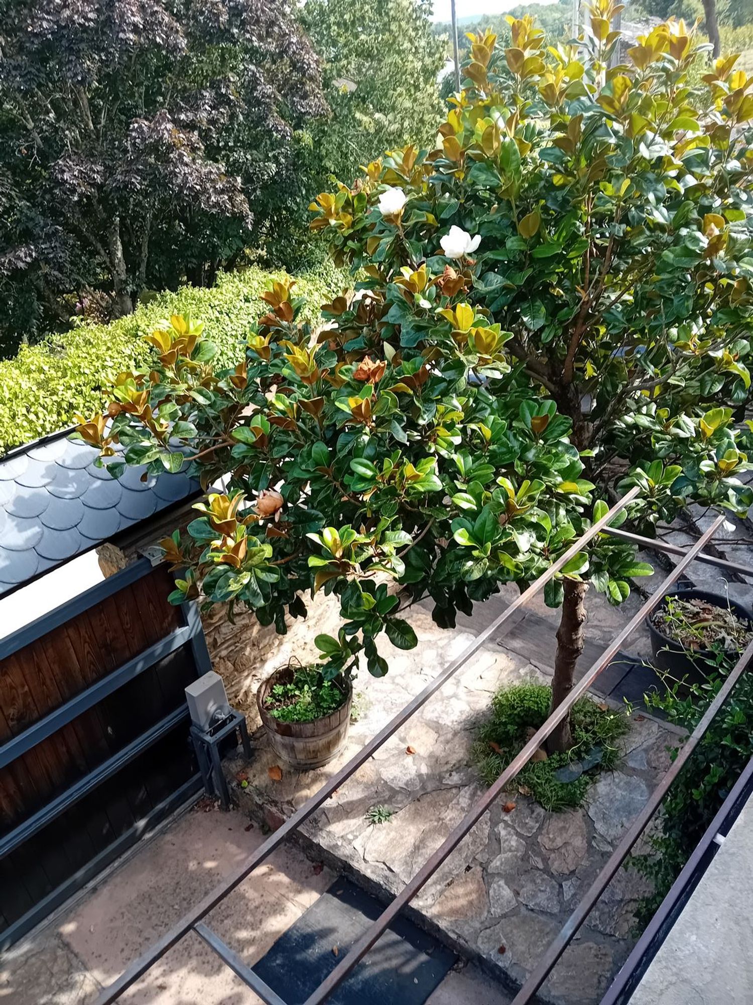 Casa de pueblo en Fontal, 5 - Foto 24