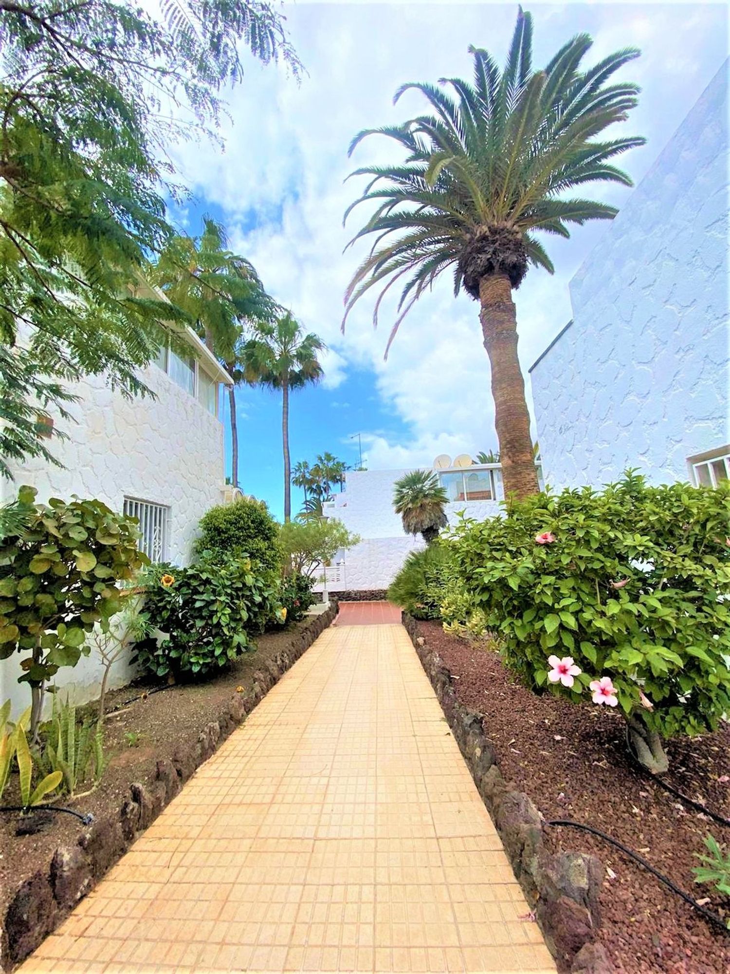 Piso en Avenida Jose Antonio Tavio, 4 - Foto 13