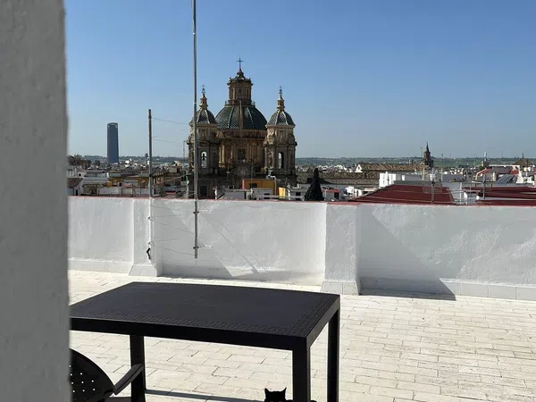 Ático en calle Bordador Rodriguez Ojeda, 6 - Foto 37