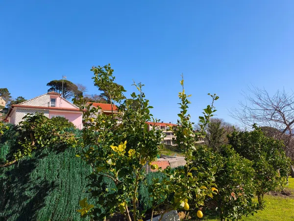 Chalet adosado en Avenida Pontevedra, 18, Cangas, Cangas - Foto 10