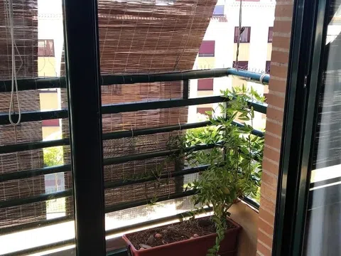 Piso en calle de Jesús Arambarri, 70 CalledeJessArambarri - Foto 6