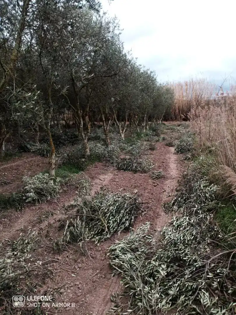 Finca rústica en  Carrer de Sant Pere 1 - Foto 11