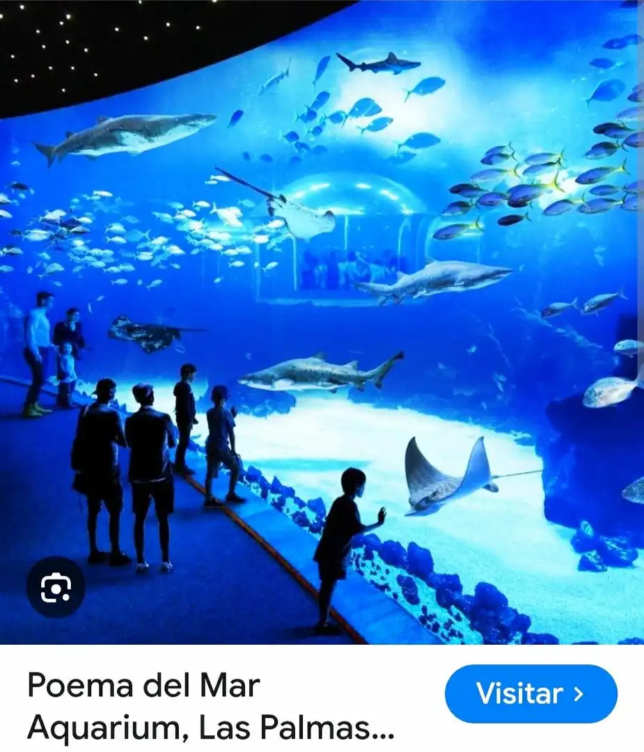 Ático en Las Palmas de Gran Canaria - Foto 19