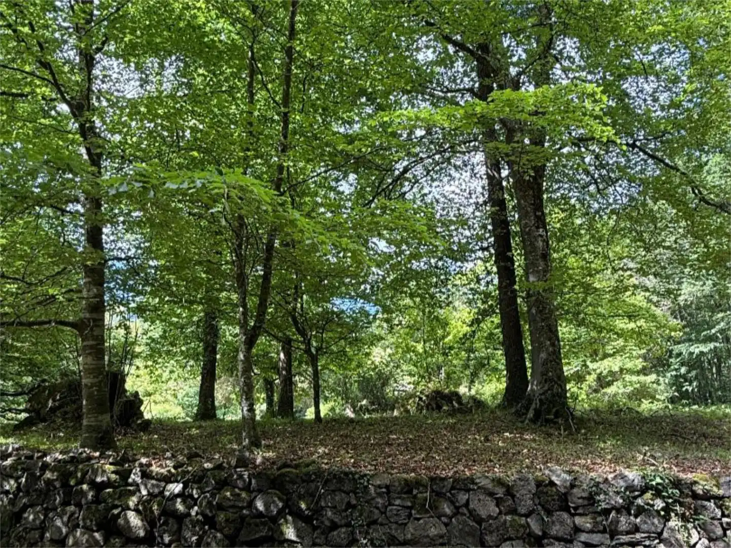 Piso en  Vial Camino 11 - Foto 17