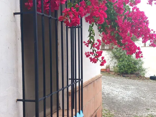 Casa rural en Camino de las Lomas de Villanueva s/n - Foto 35