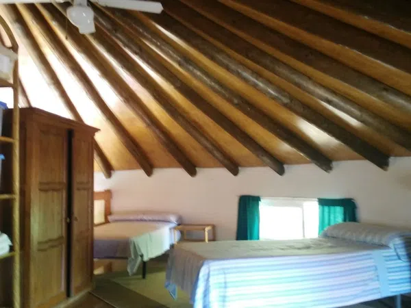 Casa o chalet independiente en Calle Pomelo, 5, Zahora, Zahora - Foto 7