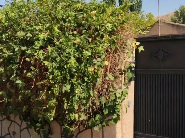 Casa de pueblo en Calle Río Tajo s/n - Foto 12