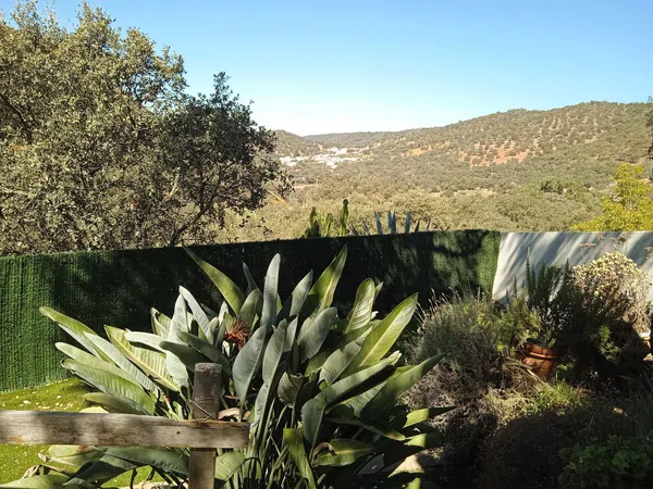 Casa rural en Aldea de los Bravos, Aroche, 2 - Foto 25