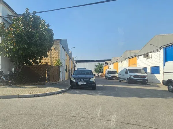 Local en Calle Pino Canadiense, 1, Palmete-Padre Pío-Hacienda San Antonio - Foto 3