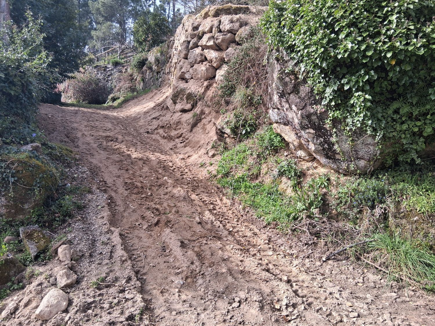 Finca rústica en Alboredos s/n - Foto 10