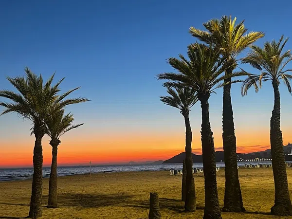 Ático en avenida de Montecarlo, 8 a - Foto 21