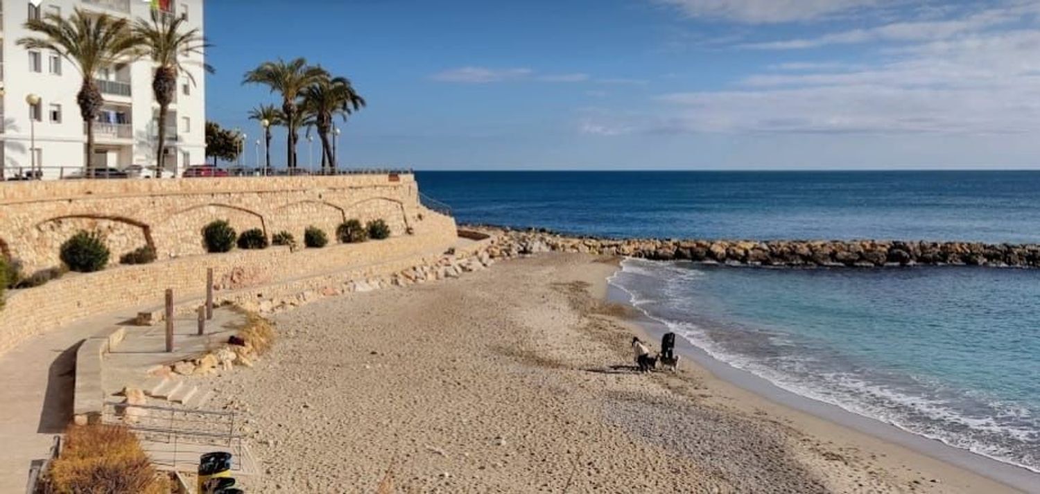 Piso en Ramón y Cajal, 50, L'Ametlla de Mar - Foto 14