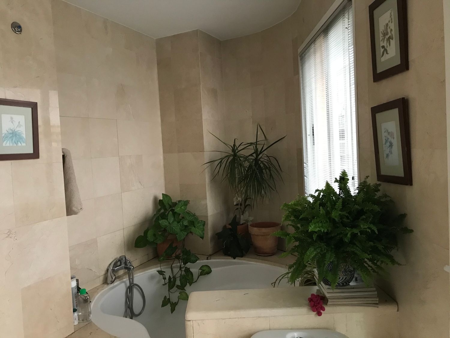 Ático en calle Rastro, 22 - Foto 17