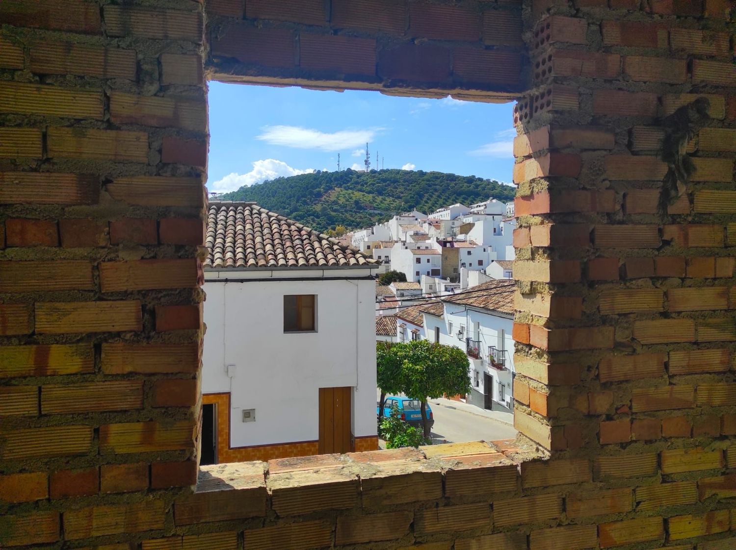 Casa o chalet independiente en Avenida Félix Rodríguez de la Fuente, 31 - Foto 4