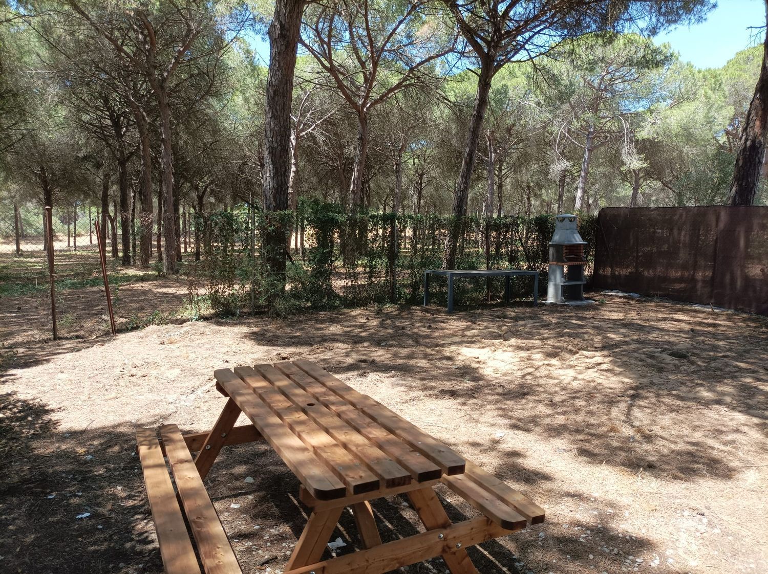 Casa o chalet independiente en Calle Obispo, 4, Cuatro Pinos-El Carmen - Foto 4