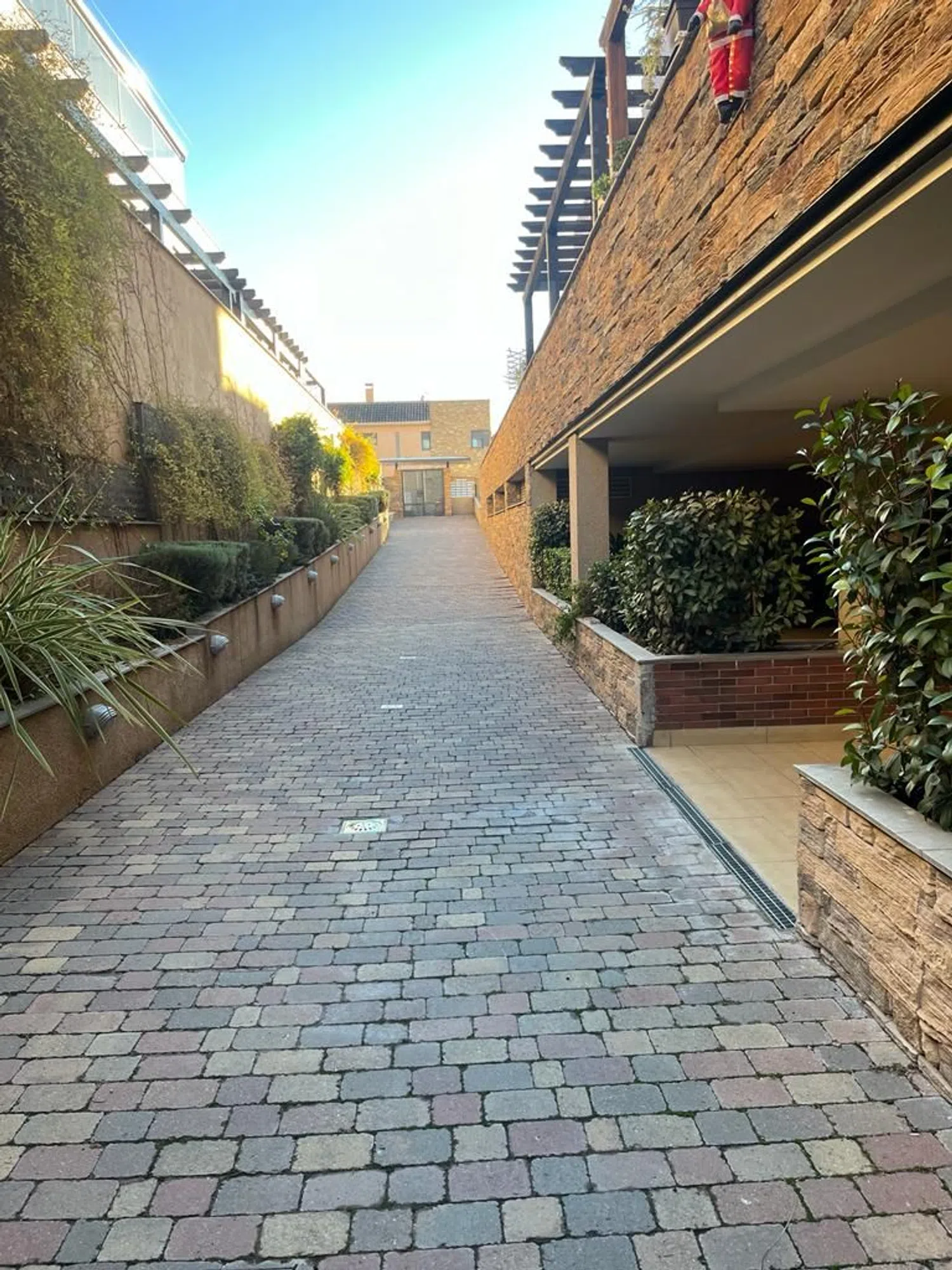 Piso en camino Real de los Neveros, 133 - Foto 2