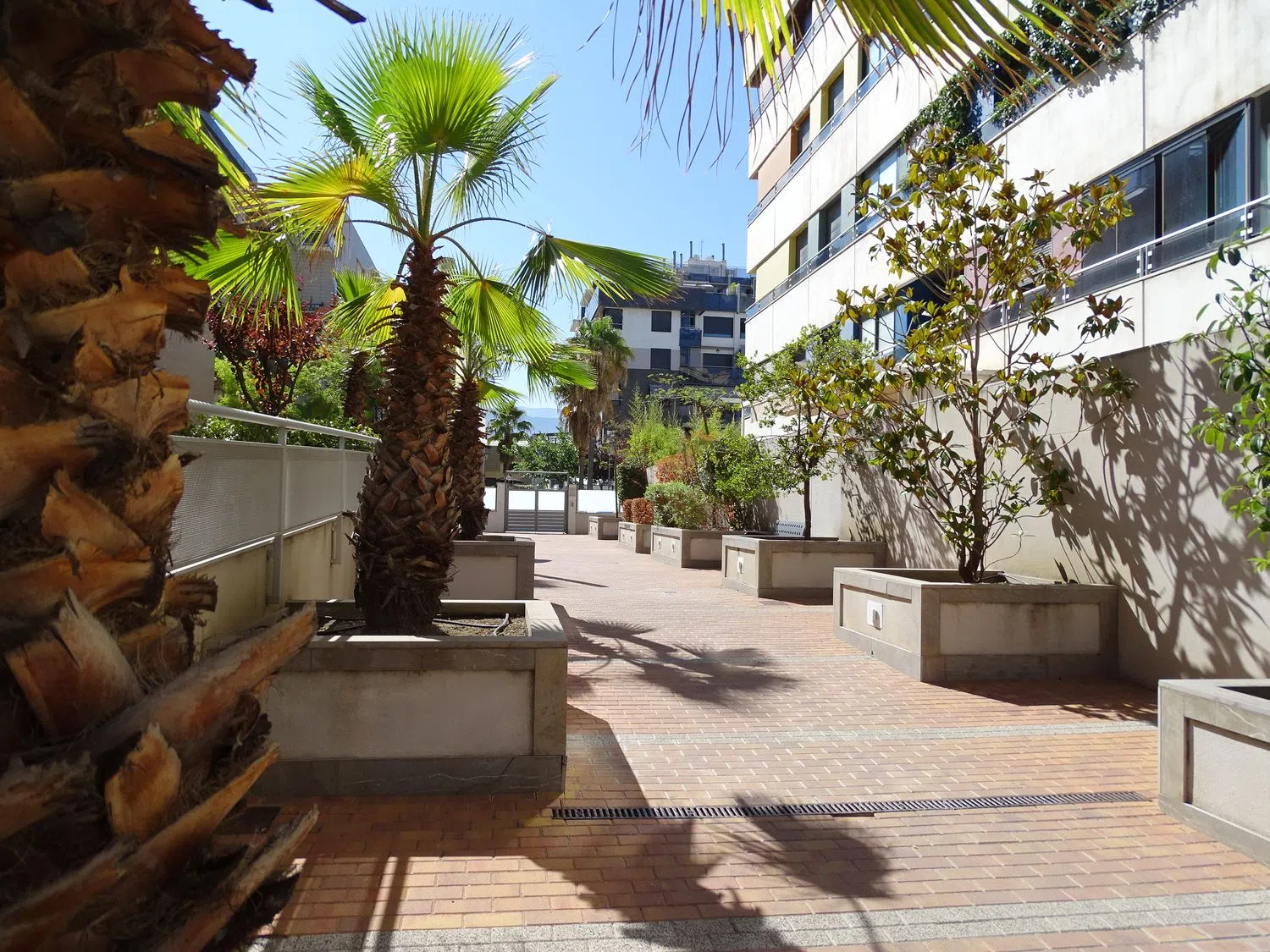 Piso en calle José Luis Pérez Pujadas, 29 - Foto 15