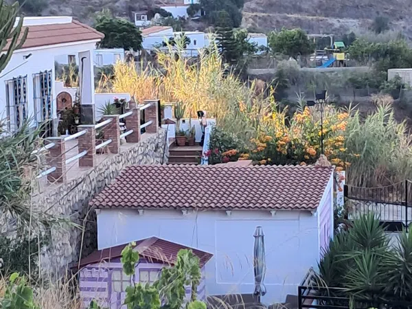 Cortijo en Cortijo en Haza Mora s/n - Foto 22