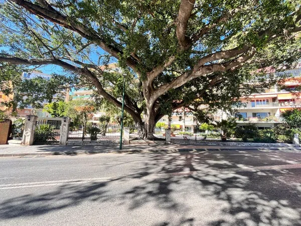Piso en Avenida Pintor Sorolla, 57, Limonar - Foto 1