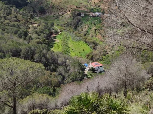 Casa o chalet independiente en Via Sin Nombre Los Guaperos, 1 - Foto 7