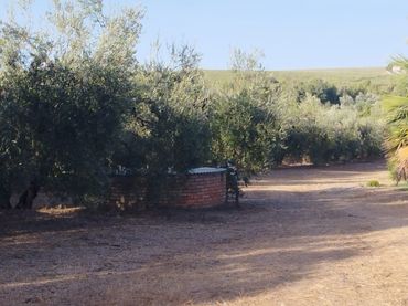 Finca rústica en  Calle Lairen 1 - Foto 2