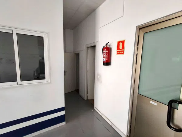 Local en Calle Pino Estrobo, 1, Palmete-Padre Pío-Hacienda San Antonio - Foto 12