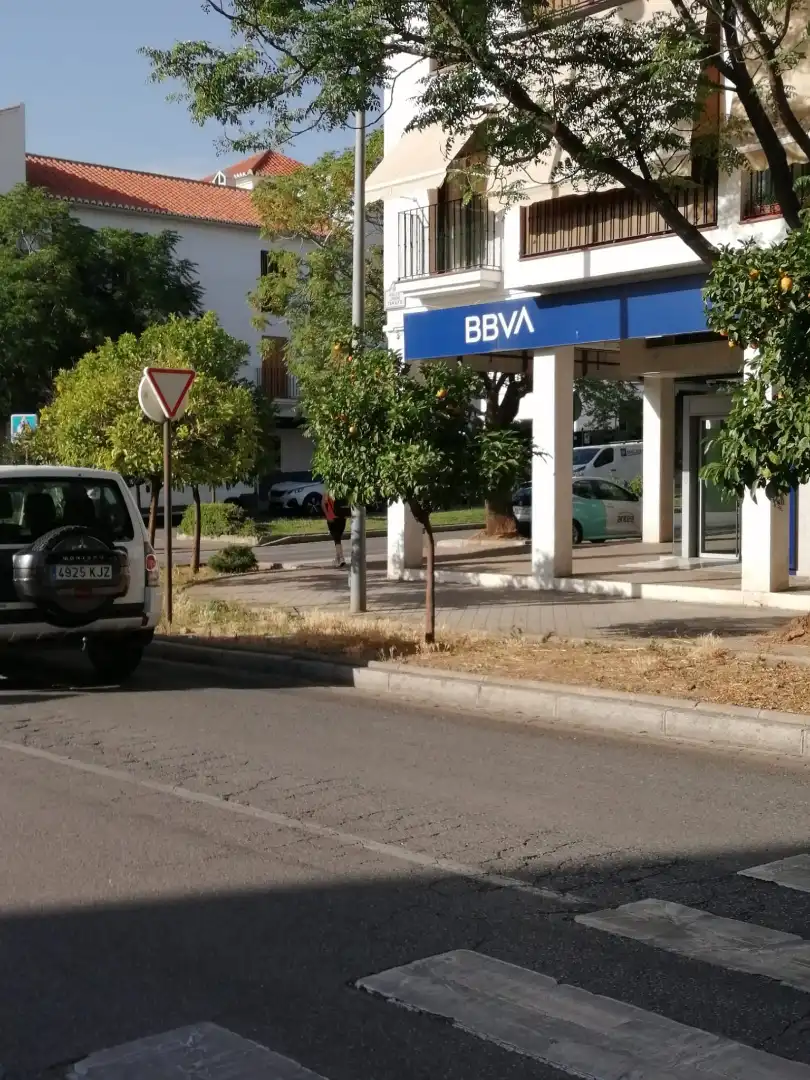Local comercial en  Calle Hoya de la Mora 7 - Foto 8